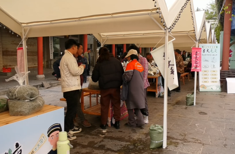 湘西古丈：春茶早市交易忙