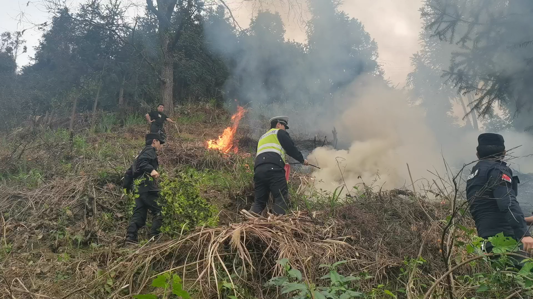 湘西古丈：高速路旁茶园烧茶籽引发火情 高速交警紧急扑火