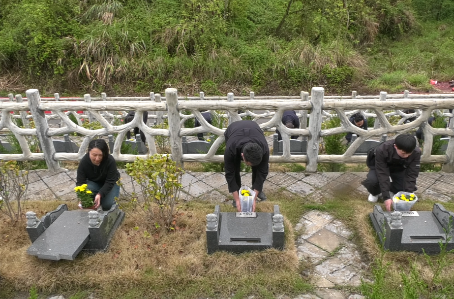 古丈县民政局：倡导文明祭祀新风  让清明更“清明”