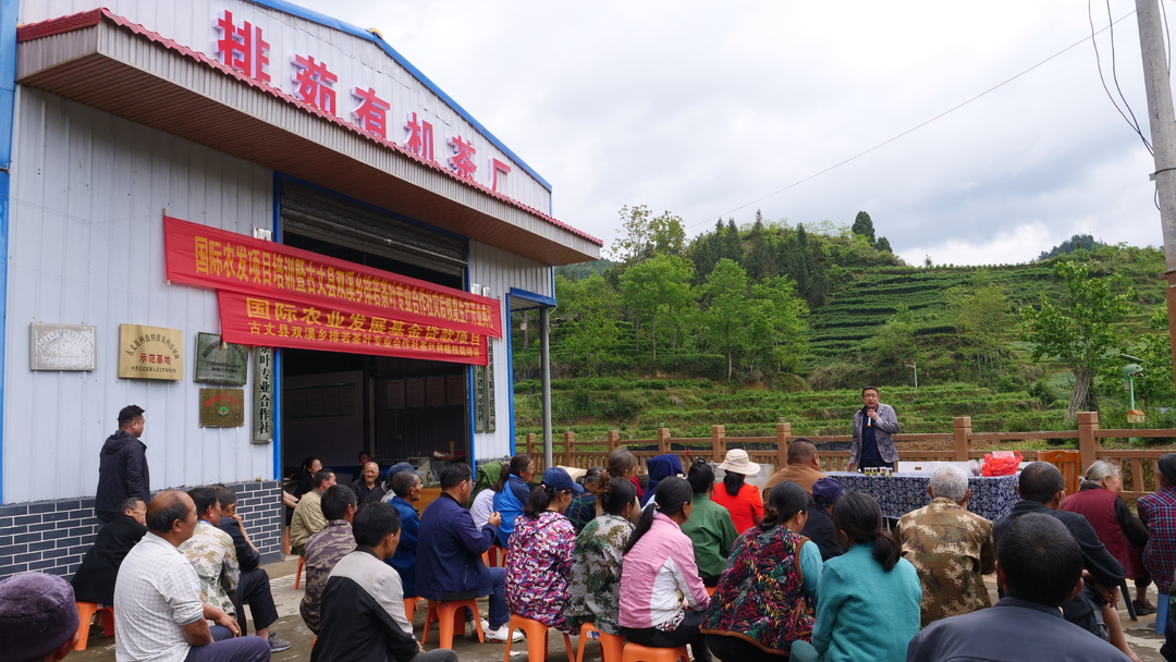 湘西古丈：开展茶叶种植与加工培训活动，助推茶产业高质量发展