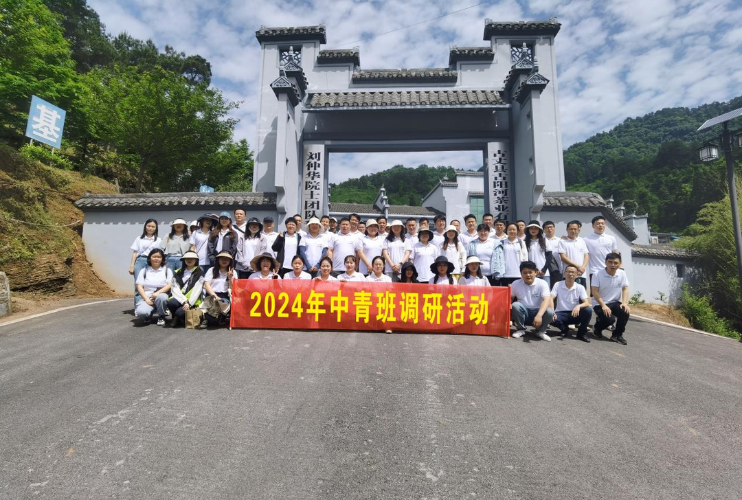 湘西古丈：2024年中青班赴坪坝镇古阳河有机茶叶基地开展调研活动