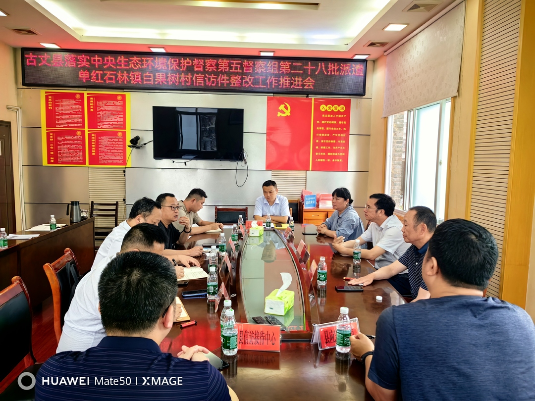 陈瑞组织召开落实中央第五生态环境保护督察组红石林镇白果树村信访件工作推进会
