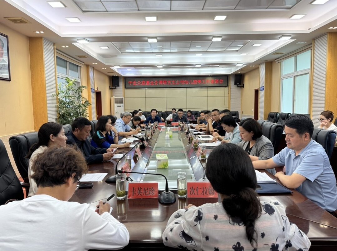 北京中金公益基金会调研古丈山村幼儿园等工作座谈会召开