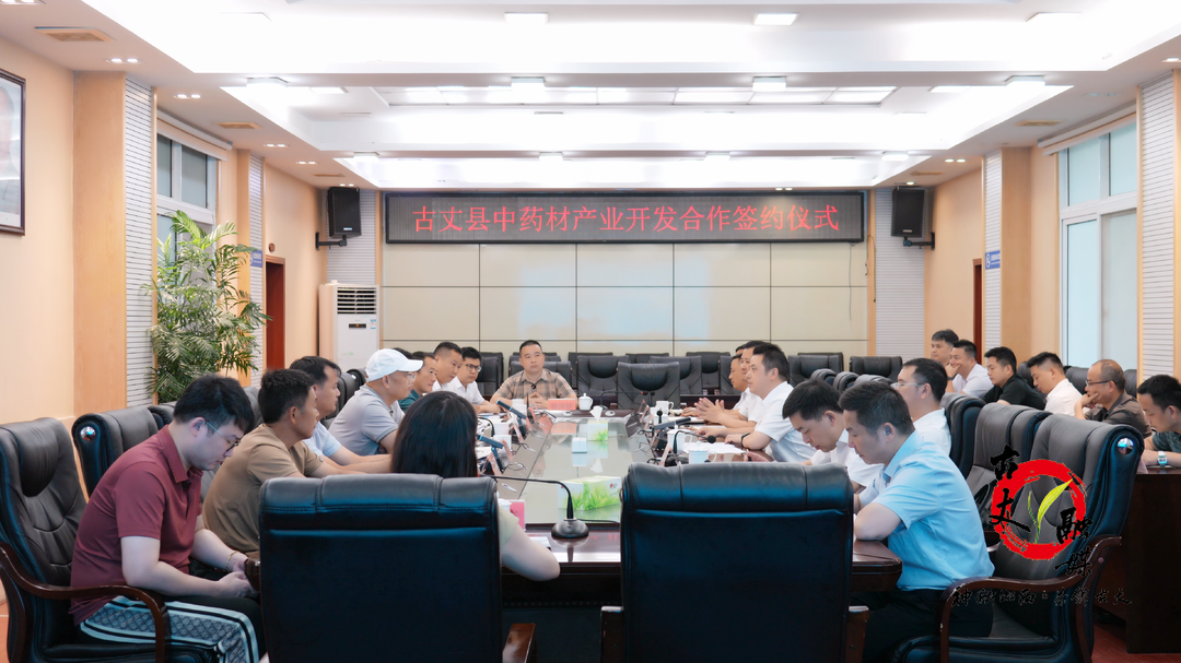 古丈县与国药控股、湖南芊智顺中药材种植签订合作框架协议