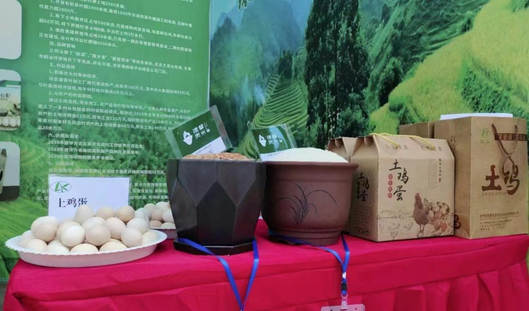 岩头寨镇：以项目建设“主旋律” 谱写乡村振兴“进行曲”