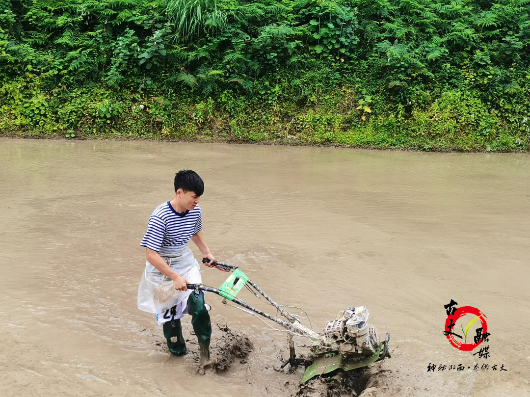 “八一”特别报道|李彪：脱下戎装初心不改 建功乡村绽放光彩