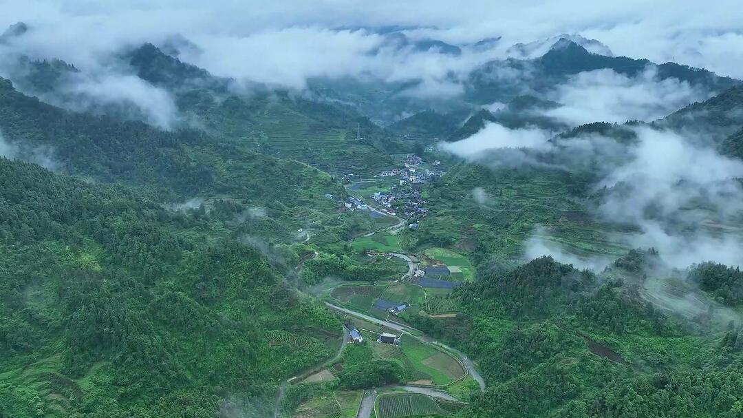 湘西古丈茶旅融合發(fā)展升級? 促進(jìn)城鄉(xiāng)居民收入增長