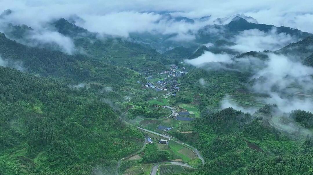 古丈茶旅融合发展升级  促进城乡居民收入增长