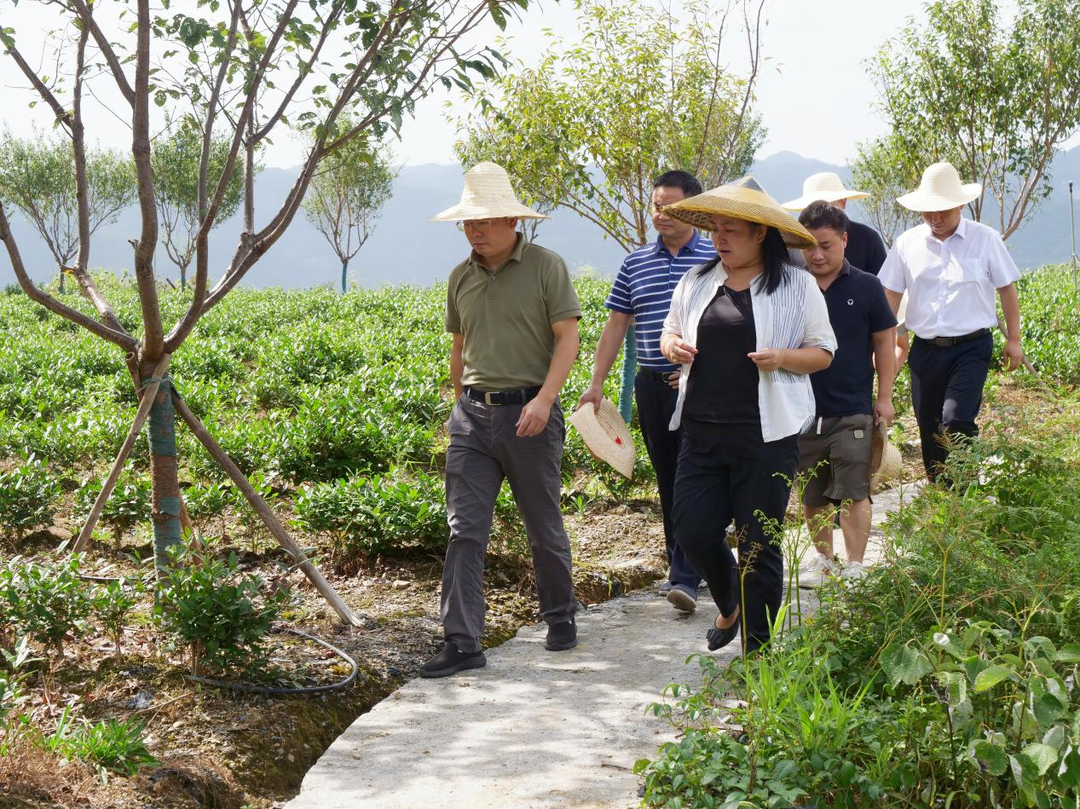 陈建新到默戎镇调研时强调： 立足资源 发挥优势 在文旅融合发展和乡村振兴中当标杆作示范