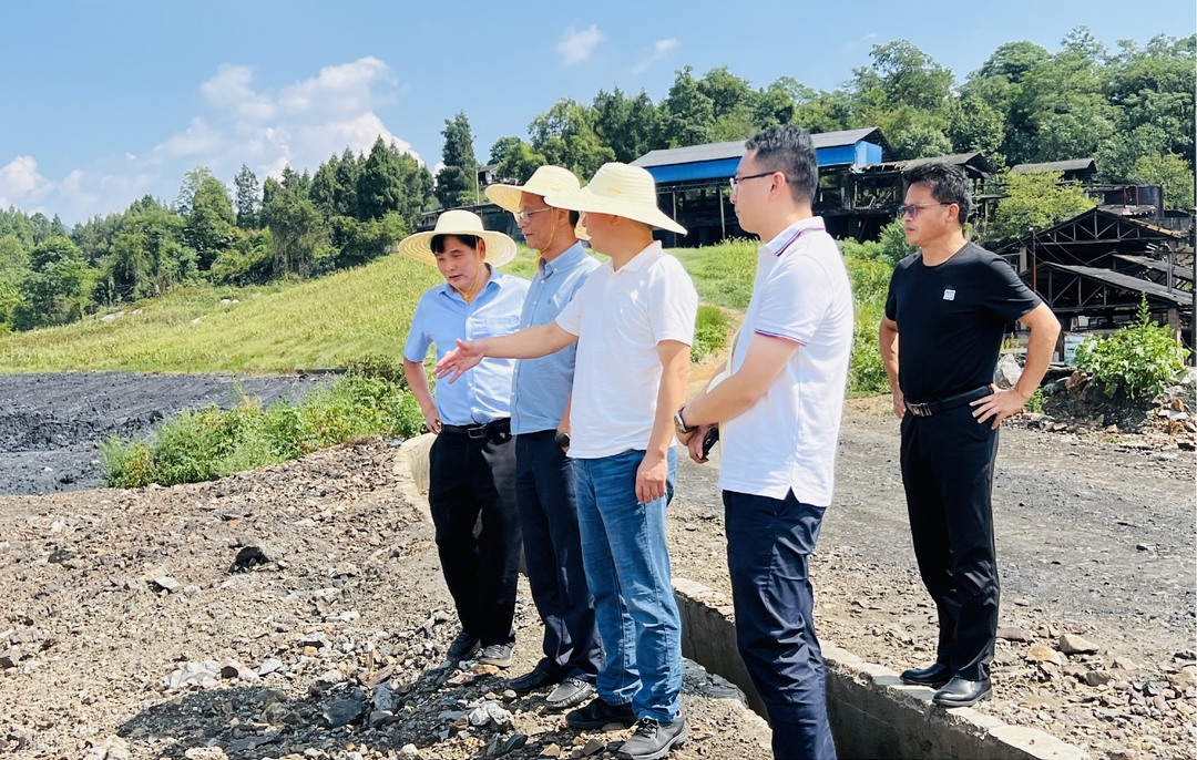 陈建新调研矿业综合整治整合工作