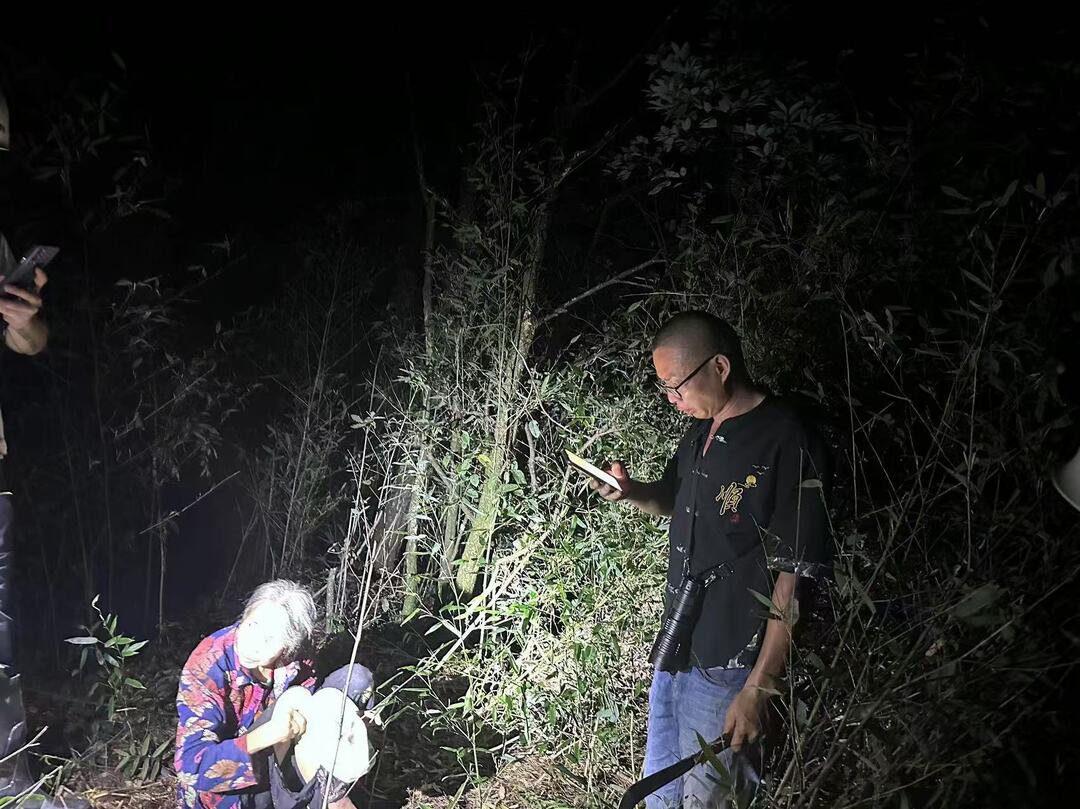 老人上山采摘枞菌未归 多部门联动紧急搜救成功