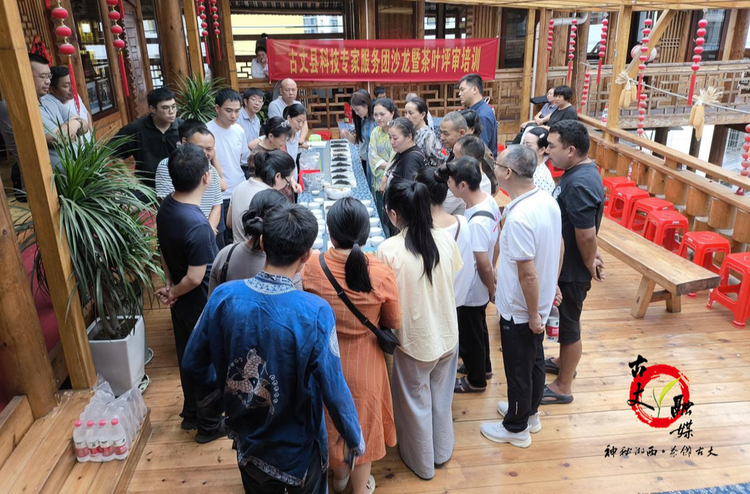 古丈县举办茶叶审评培训