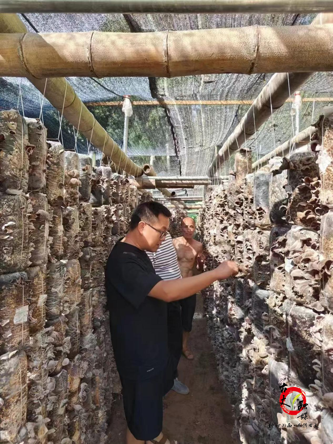 古丈县高峰镇：走访辖区企业  切实优化营商环境