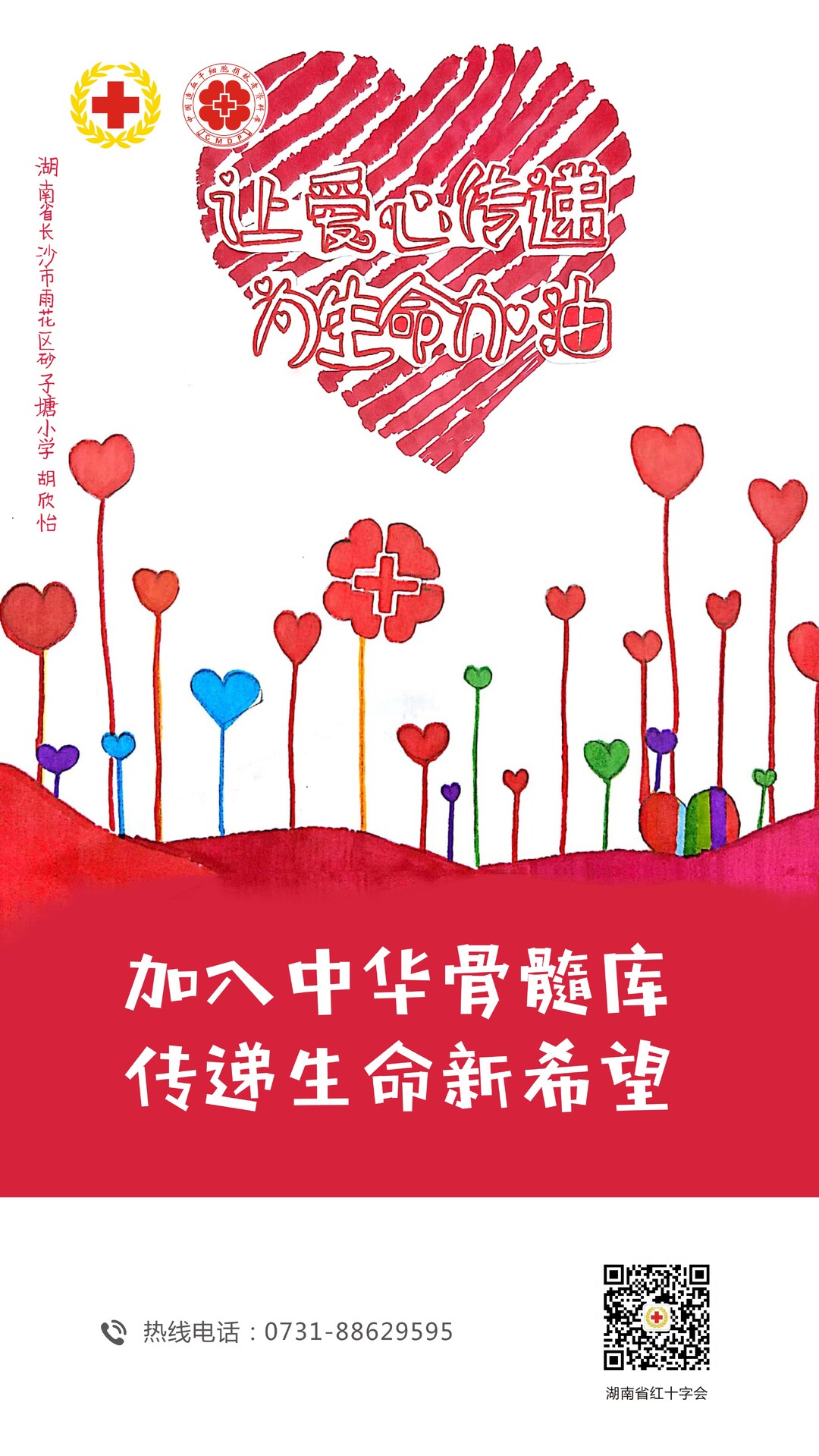 造血干细胞海报