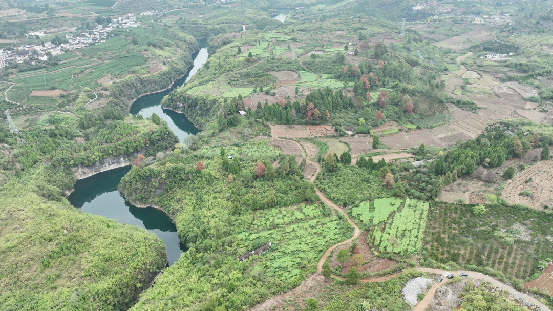 湘西古丈县红石林镇先锋村：罗汉果丰收，果农喜悦满怀