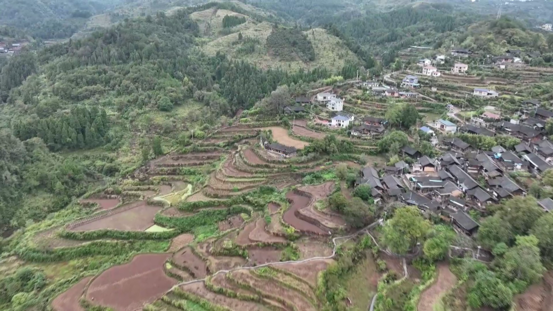 湘西古丈岩头寨镇洞溪村：党建引领绘就美丽乡村新画卷
