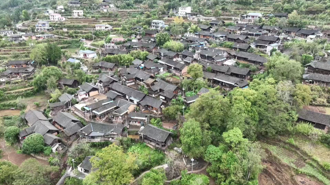 湘西古丈县岩头寨镇洞溪村：多元产业发展形势喜人，乡村振兴活力四射