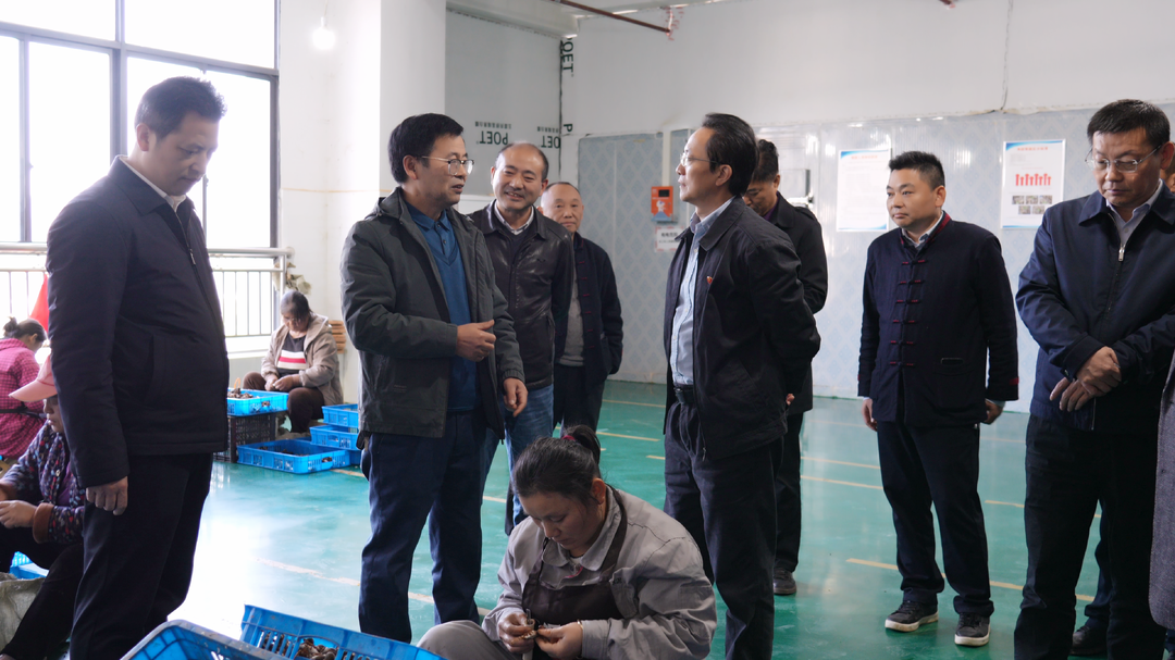 省科协调研湘西古丈铁马洲村乡村振兴工作