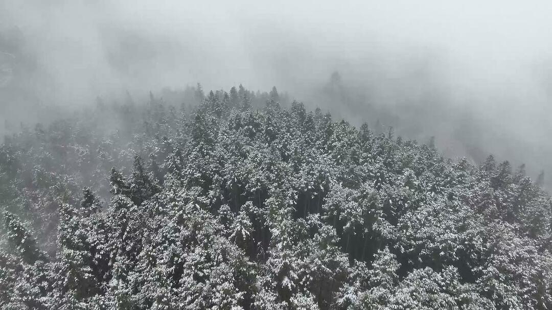 古丈县高望界国家级自然保护区迎来2025年冬天第一场雪
