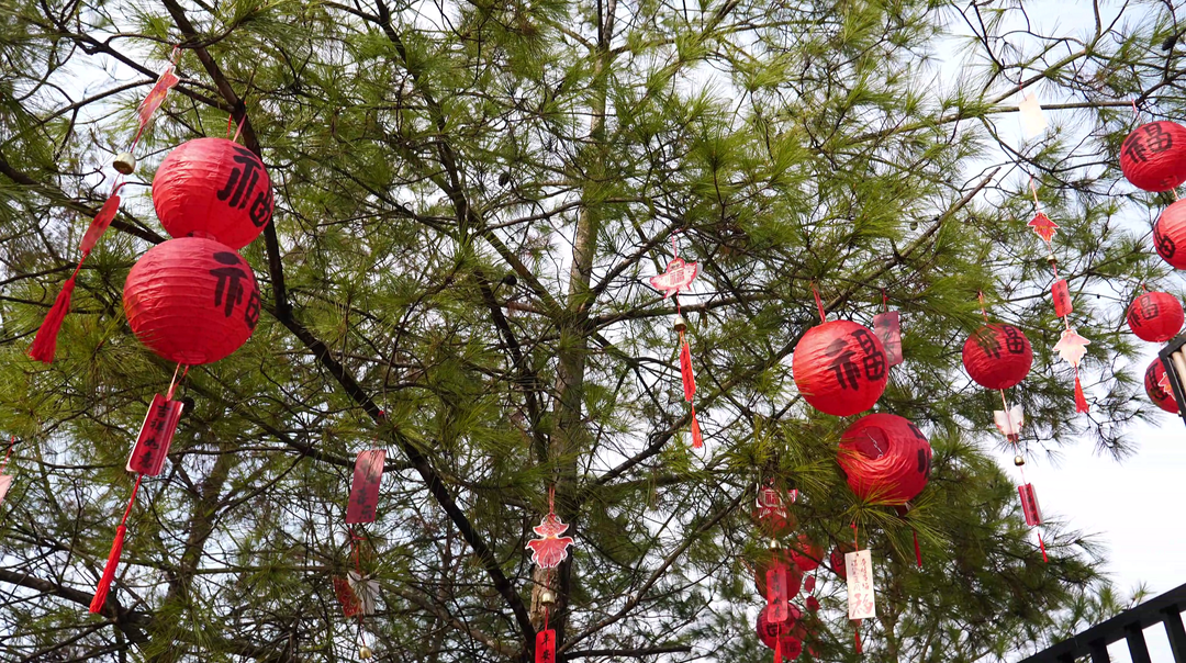 【神秘湘西过大年】民宿“春节档”火爆  山谷内年味浓