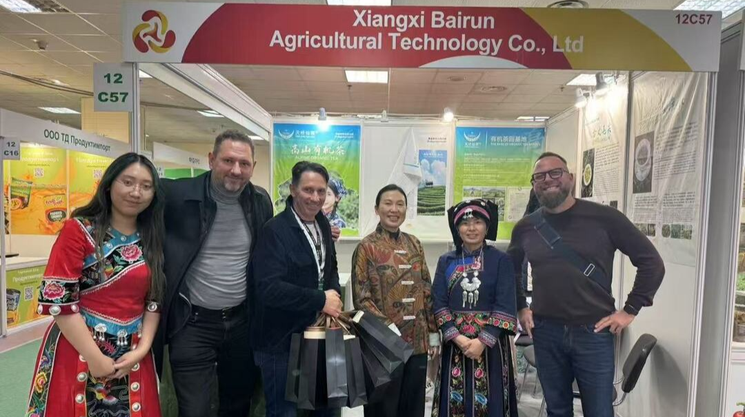 古丈茶闪耀国际舞台 茶香远飘莫斯科