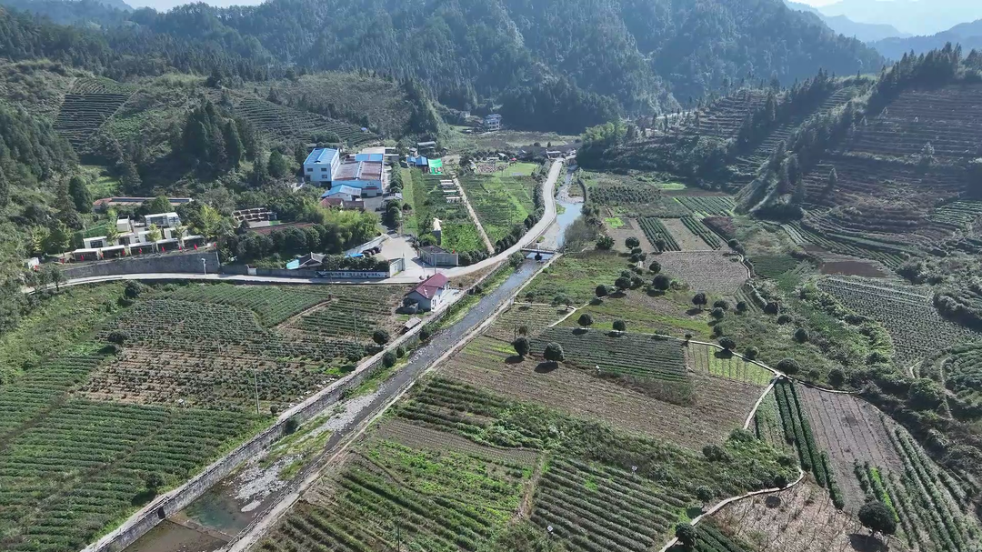 砥砺前行 向好奋进——古丈县民营企业家热议民营企业座谈会
