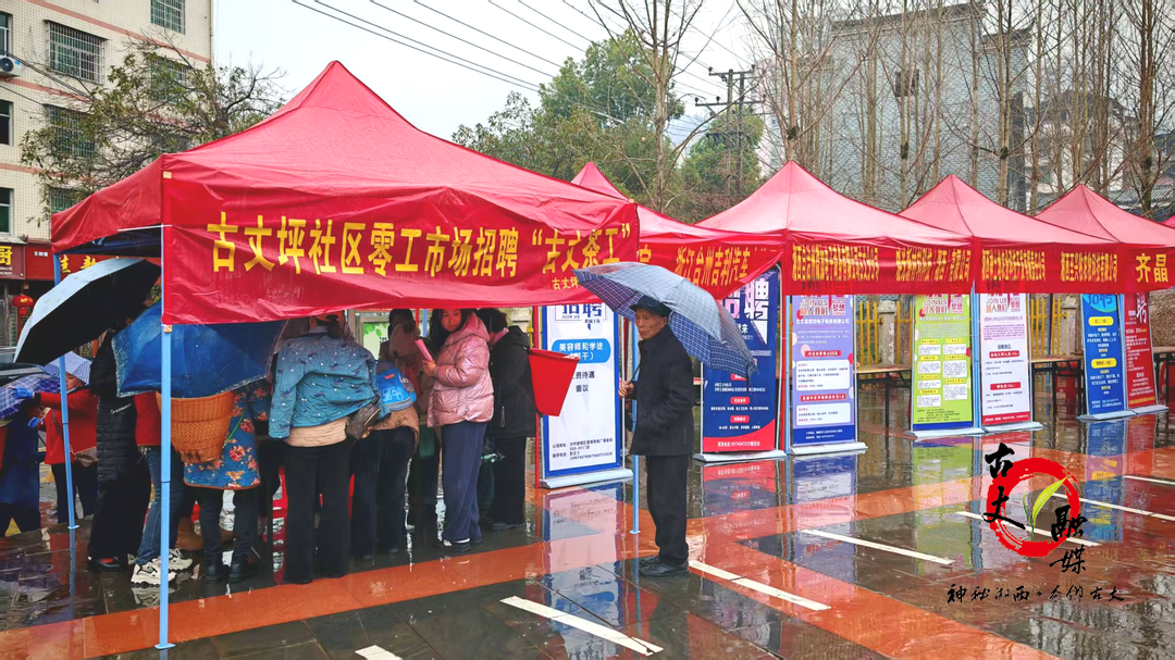 古丈坪社区零工市场"茶工专场招聘会"雨中启幕 多重暖心政策助力就业增收