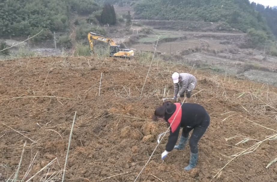 断龙山镇抢抓农时开展春耕备耕