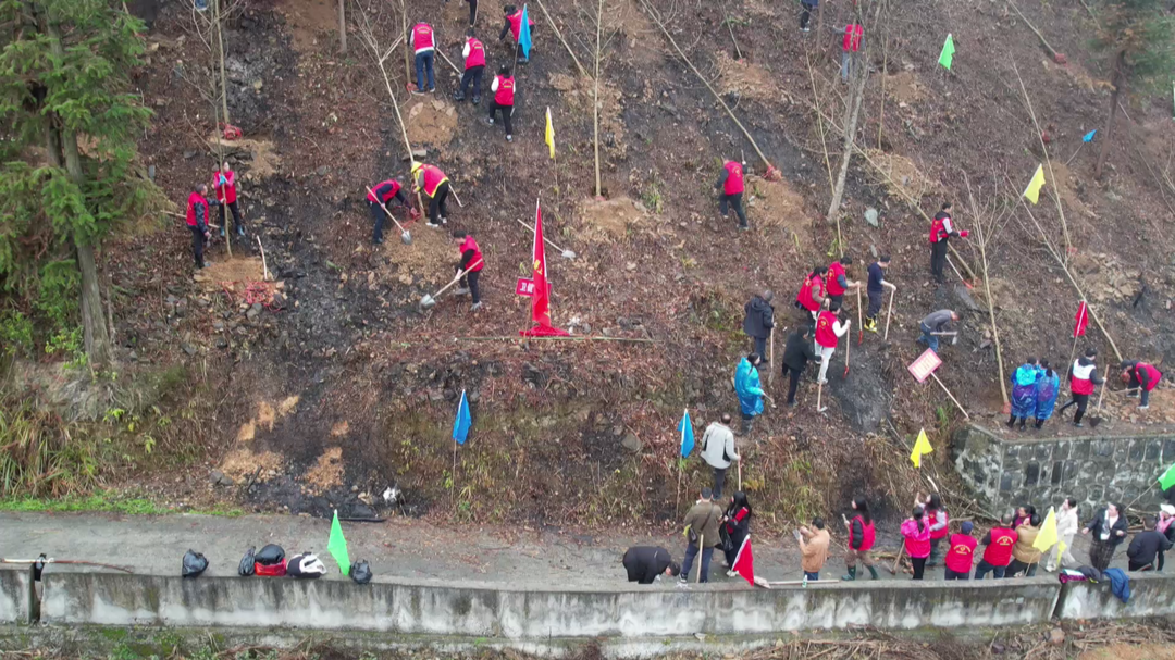 古丈：春染大地万物苏 植树添绿正当时