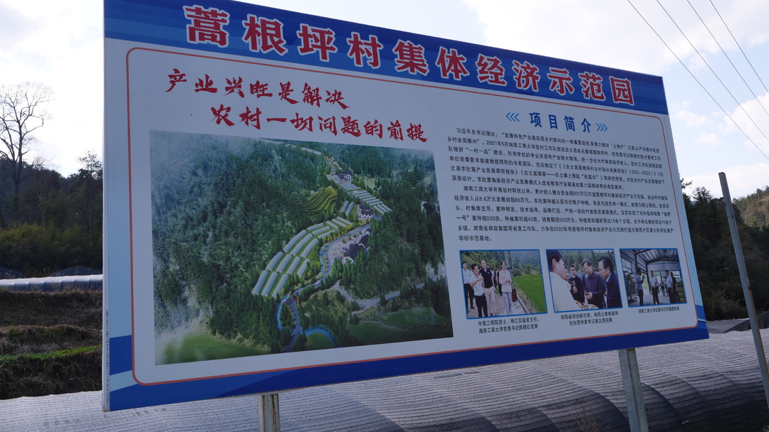 湘西古丈：科技赋能菌业兴 乡村振兴展新篇