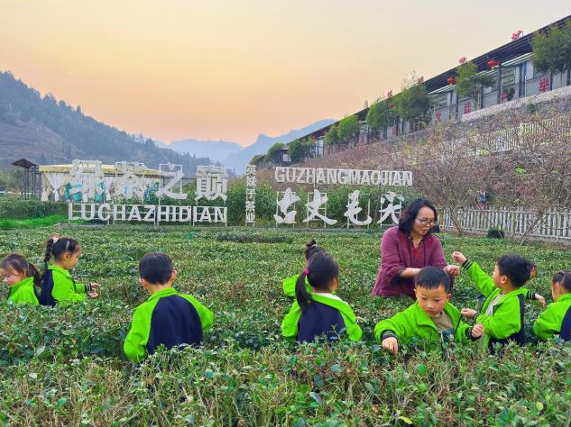 古丈县幼儿园开展茶文化体验活动
