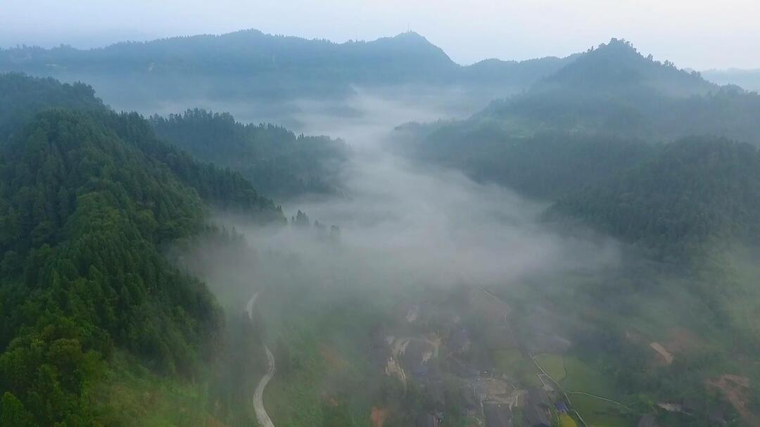 古阳镇排茹村：青春力量赋能千年茶乡，90后茶人书写古丈毛尖新篇章