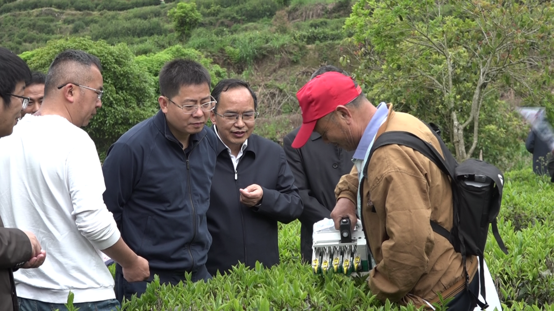 湘西古丈县举办茶叶机械化采摘推广现场会暨 “茶园公交”操作技术培训会