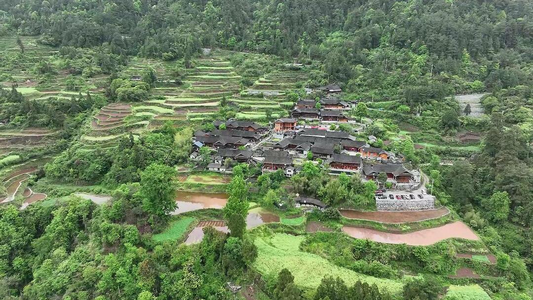 古丈村播大赛高峰镇分赛场：直播助力乡村文旅兴