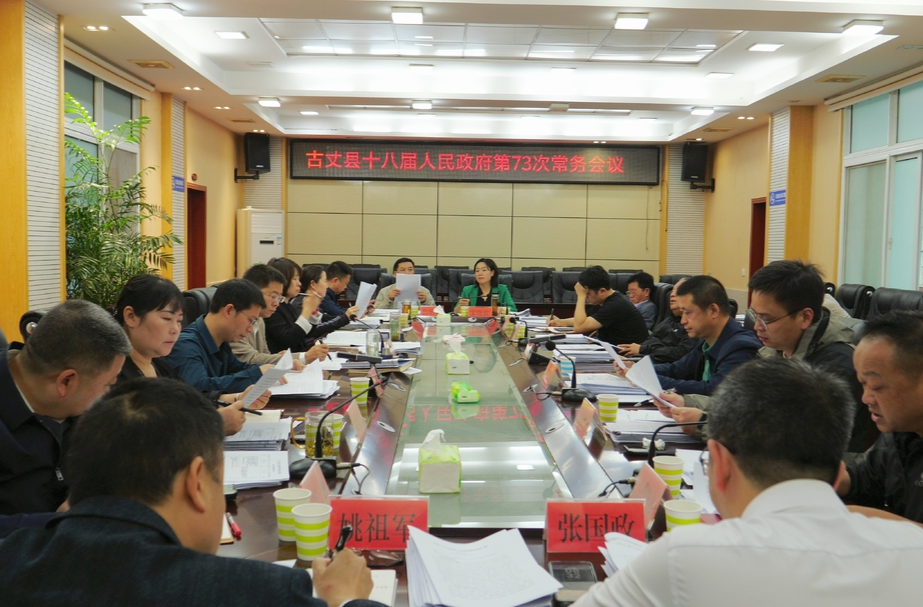 陈建新主持召开第十八届人民政府第73次常务会议