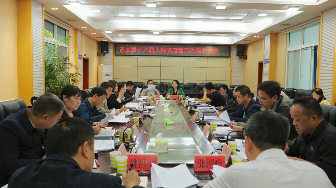 陈建新主持召开第十八届人民政府第73次常务会议