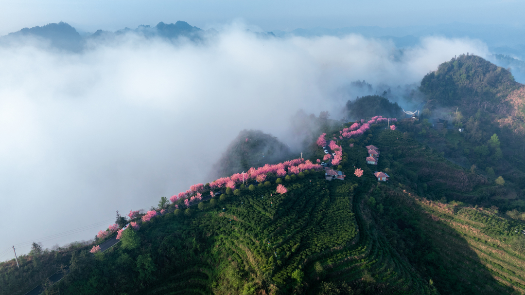 “飞瞰茶乡·寻味古丈”世界生态古丈茶云摄影获奖名单揭晓