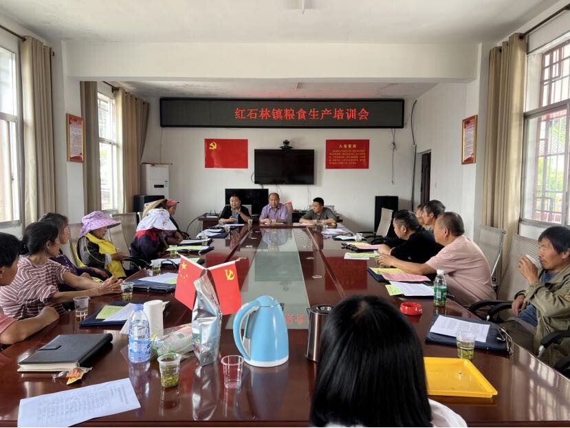 红石林镇：积极推进“坨粘”水稻种源基地建设
