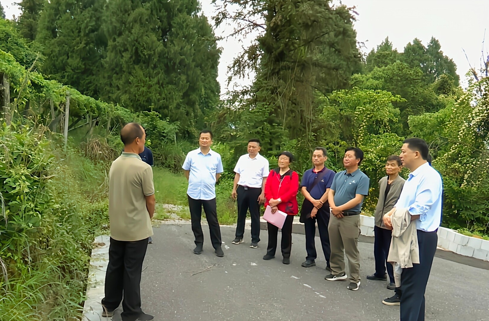 湘西古丈县老科协到铁马洲村茶叶、八月瓜科技示范基地开展调研