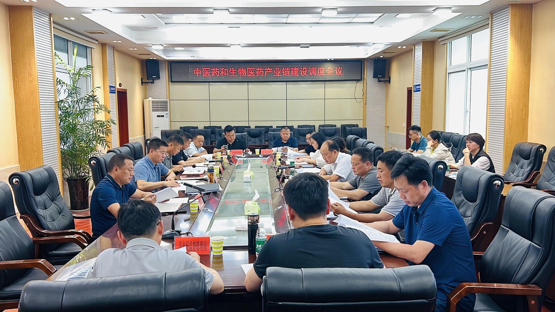 陈建新主持召开全县中医药和生物医药产业链建设调度会议