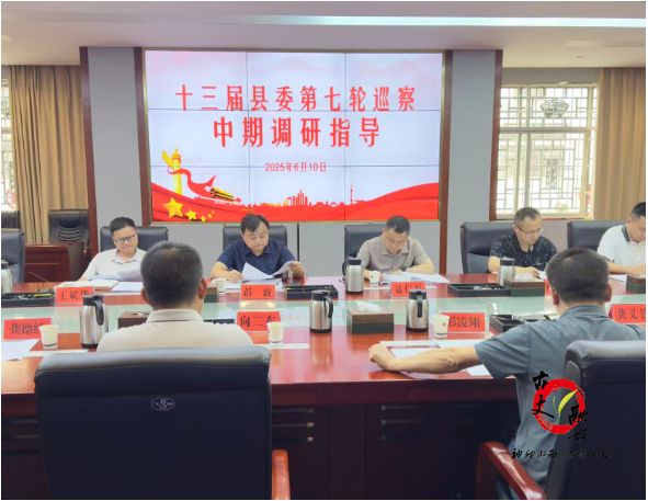 县委巡察工作领导小组开展中期调研指导