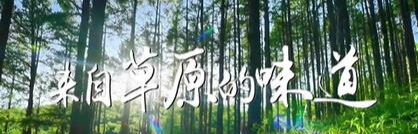 【千城万屏 · 岭上兴安】岭上兴安盟 兴安甄选的魅力之源