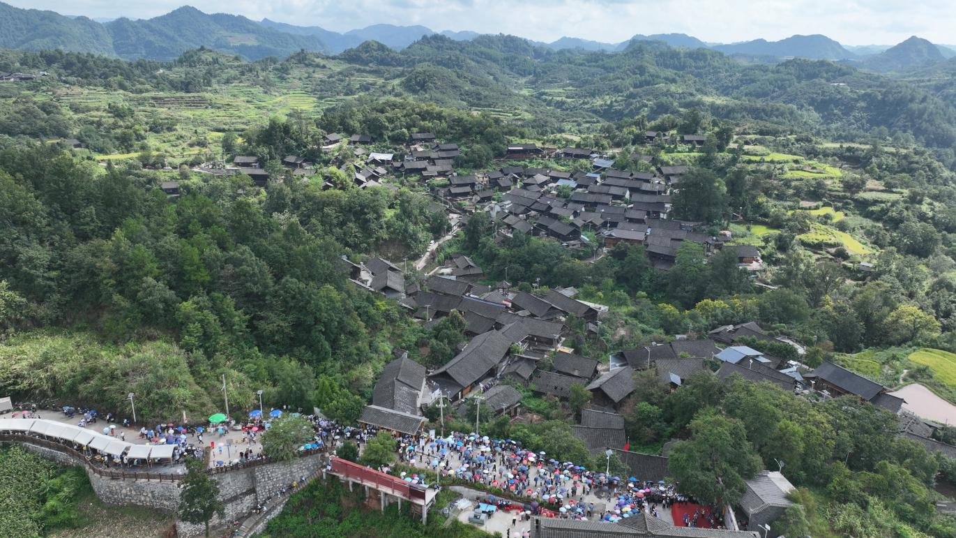 “魚滿倉、谷滿園” ——古丈縣坪壩鎮(zhèn)：稻花飄香魚躍田、苗族歡歌醉游人