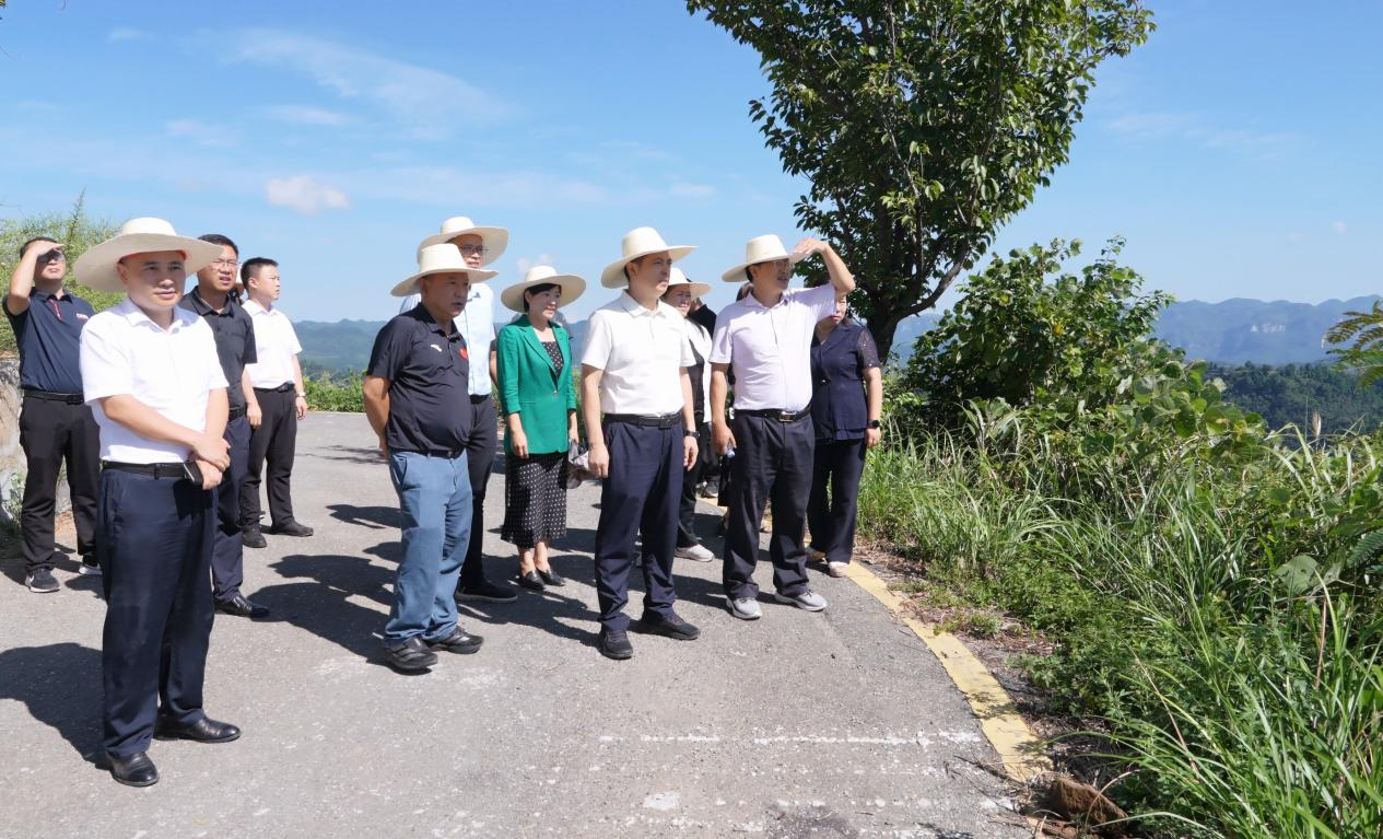 滕朝辉围绕乡村全面振兴开展“十五五”规划专题调研：坚持高标准规划引领  奋力开创乡村振兴新局面