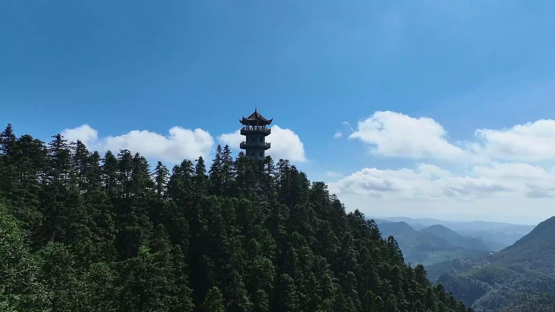 高望界启动三大国家二级保护物种专项调查