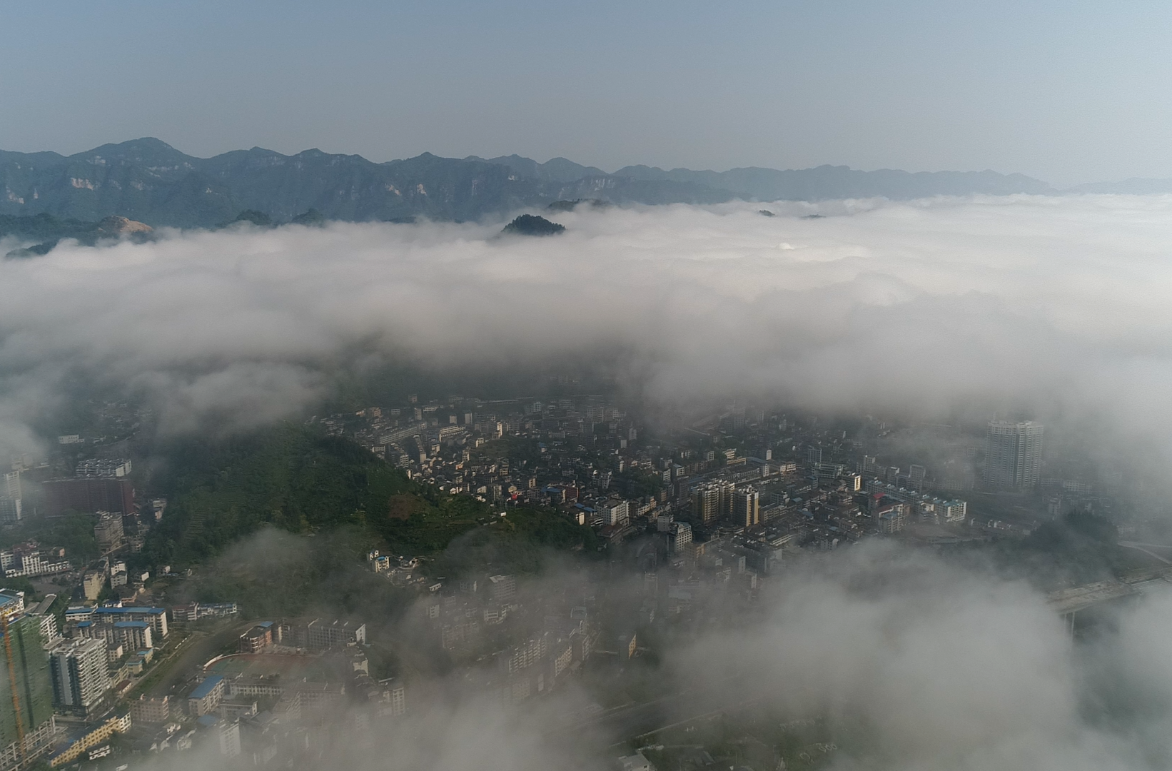 【“镇”在振兴】古阳镇：实干笃行启新程 产业兴农绘新篇