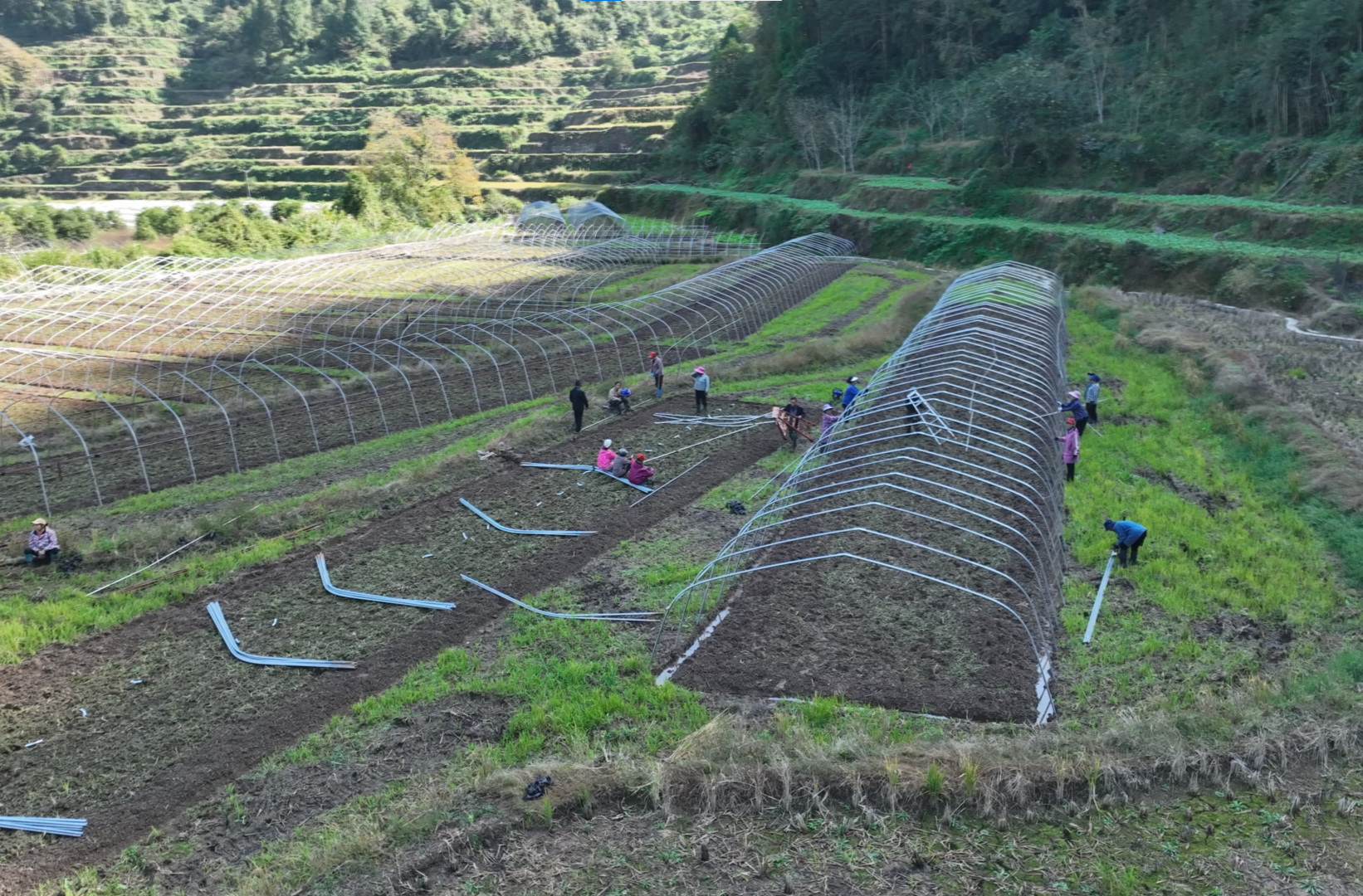 【“镇”在振兴】岩头寨镇：深山苗寨绘新景 乡村振兴正当时