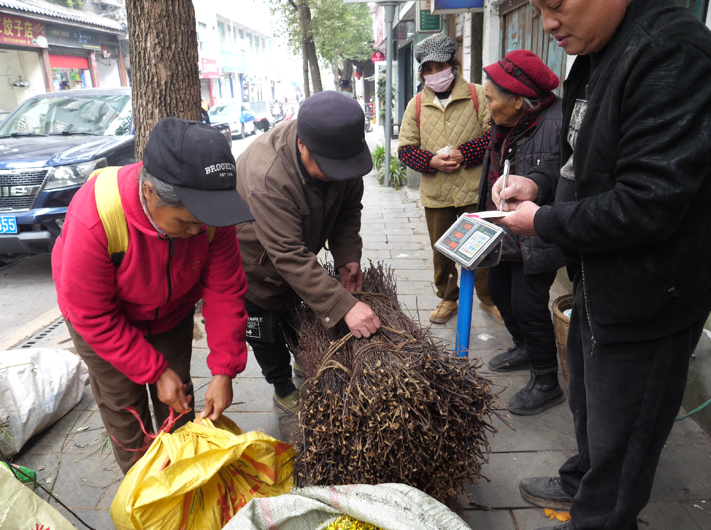 湘西古丈：从“山间草”到“致富宝”，村民增收有“妙方”