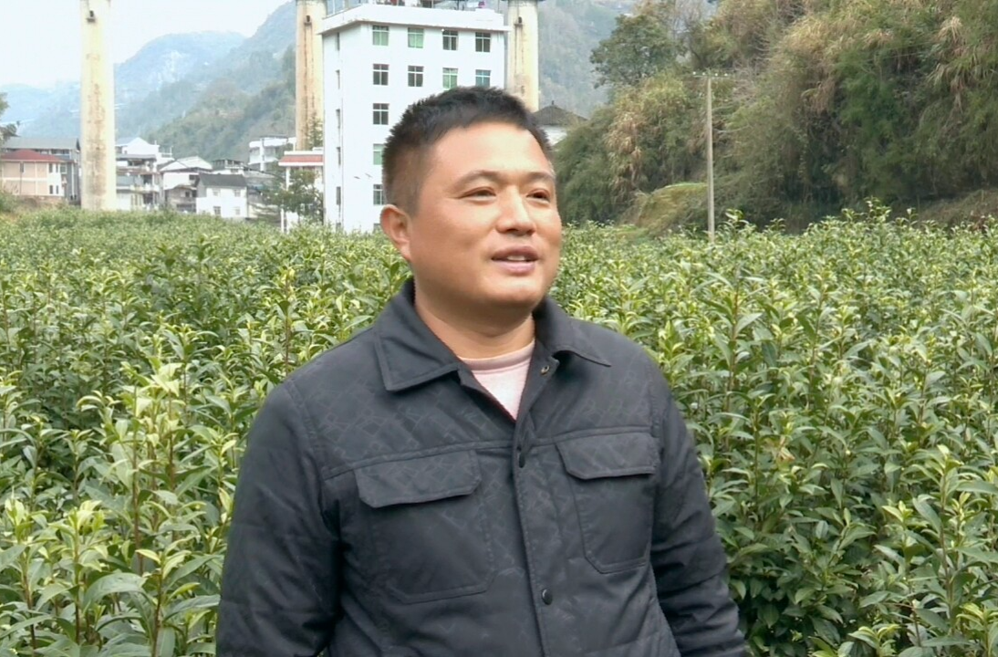 【聚焦两会 · 代表风采】石泽良：苗乡“平安堤”与“幸福路”的守望者