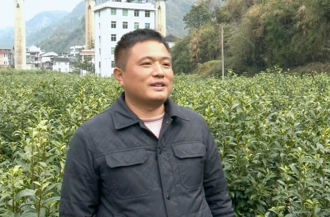 【聚焦两会 · 代表风采】石泽良：苗乡“平安堤”与“幸福路”的守望者
